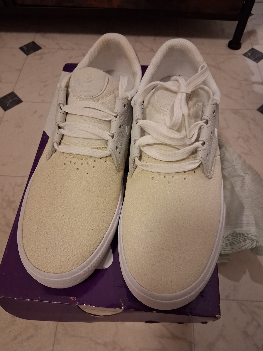 Nike SB Shane O Neill Shoes